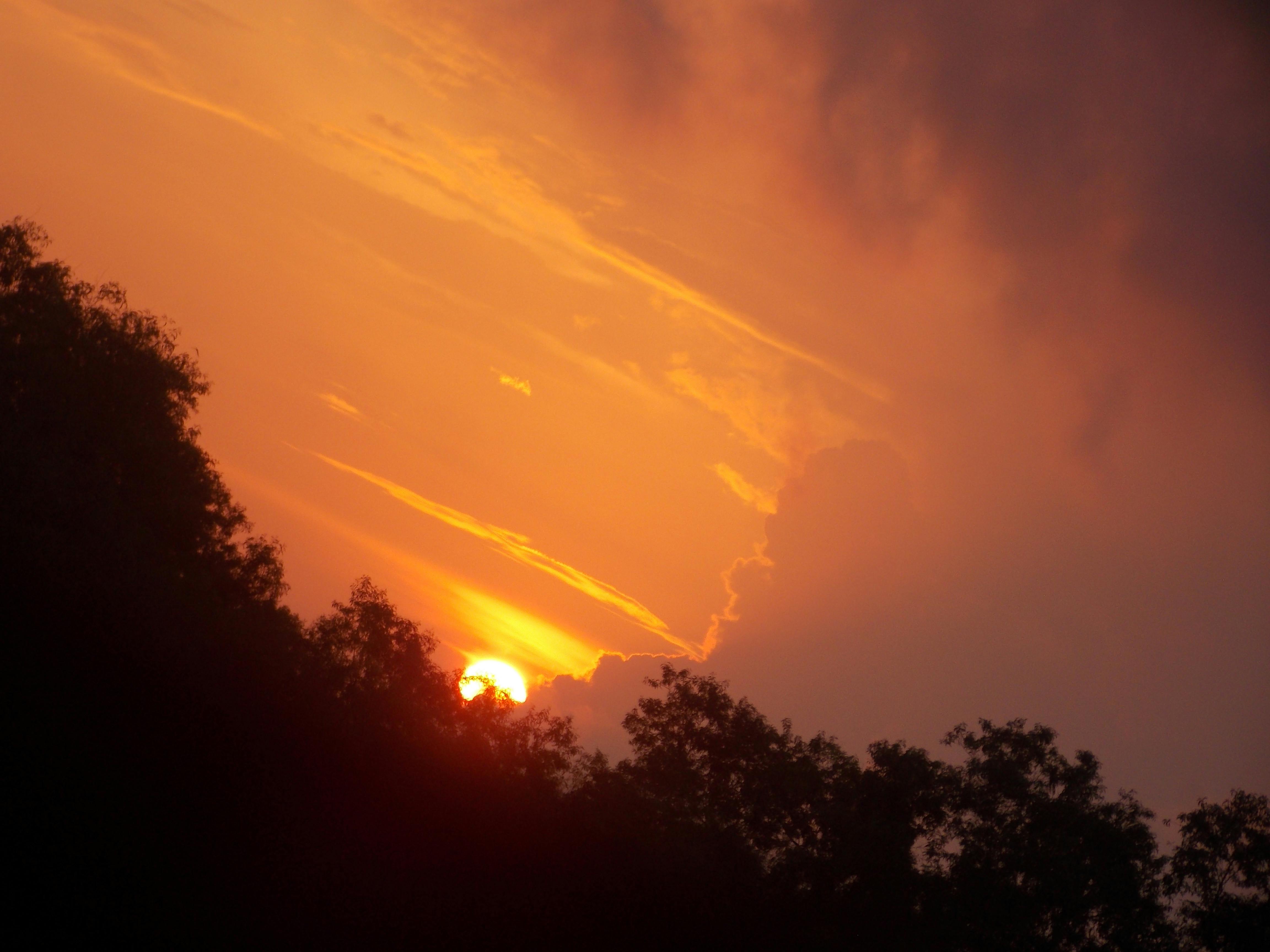 Free stock photo of evening, evening sky, evening sun