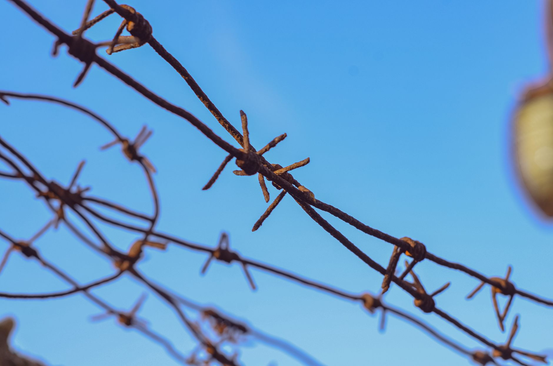 Red Hat and Panasonic Connect Collaborate to Enhance Durability and Security Capabilities at the Edge