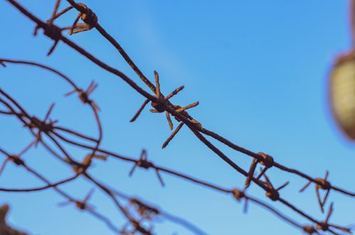 Free Close-up of rusty barbed wire with a clear blue sky as backdrop, capturing a rugged texture. Stock Photo