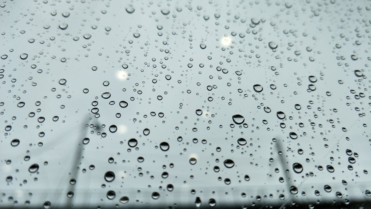 Free Closeup Photo of Dew Drops on Glass Stock Photo