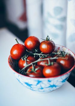 Fresh, ripe red tomatoes in a colorful ceramic bowl; a perfect kitchen or garden aesthetic.