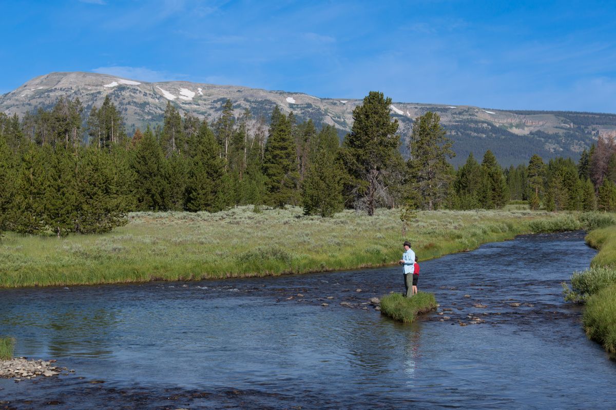 A lone fly angler on a small meadow stream below the pines, mountains on the horizon — classic blue-line solitude