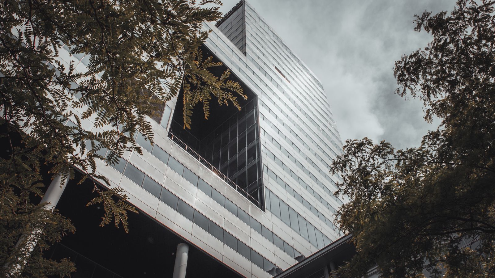 Low angle view of a modern glass building framed by trees under a cloudy sky.
