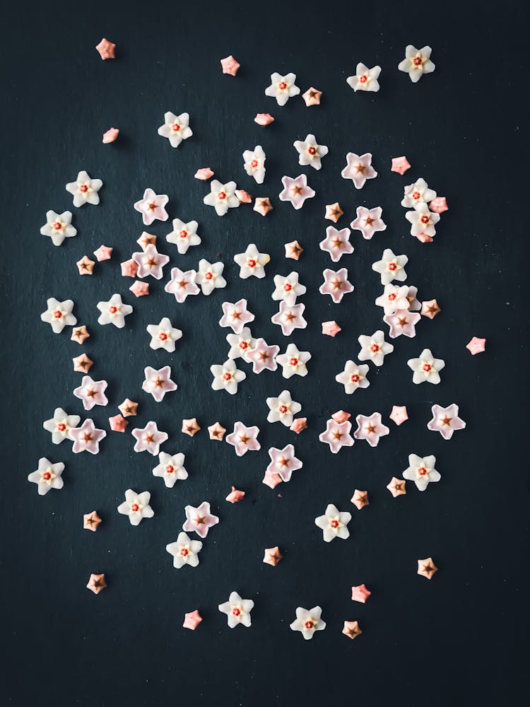 Scattered Flower Decorations