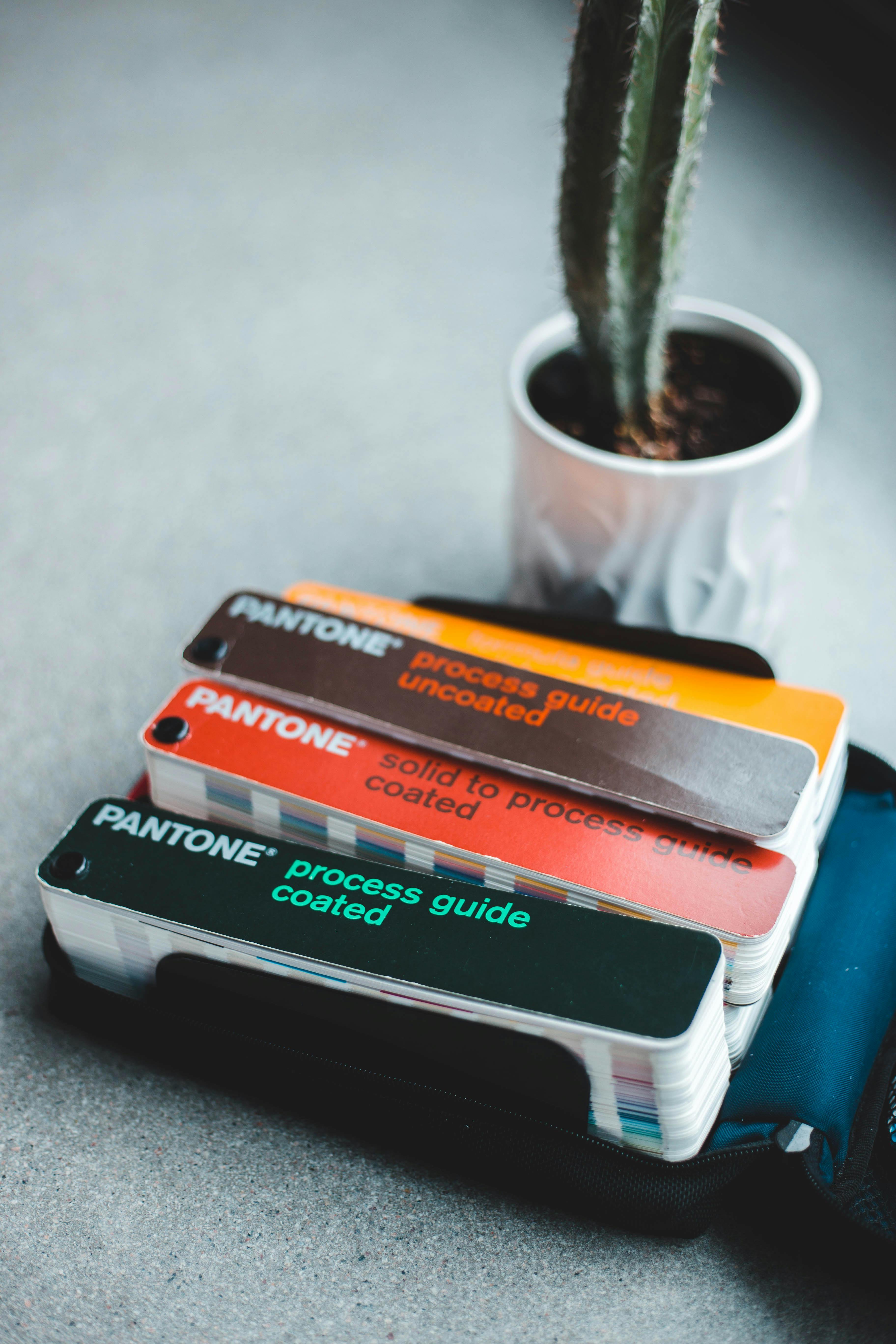 De franc Foto d'estoc gratuïta de artístic, bandes de colors, cactus Foto d'estoc