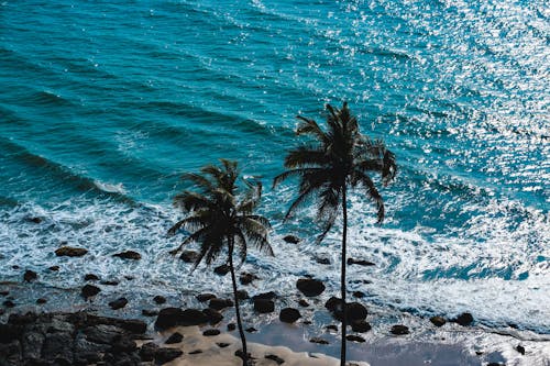 бесплатная Бесплатное стоковое фото с Аэрофотосъемка, берег, вода Стоковое фото