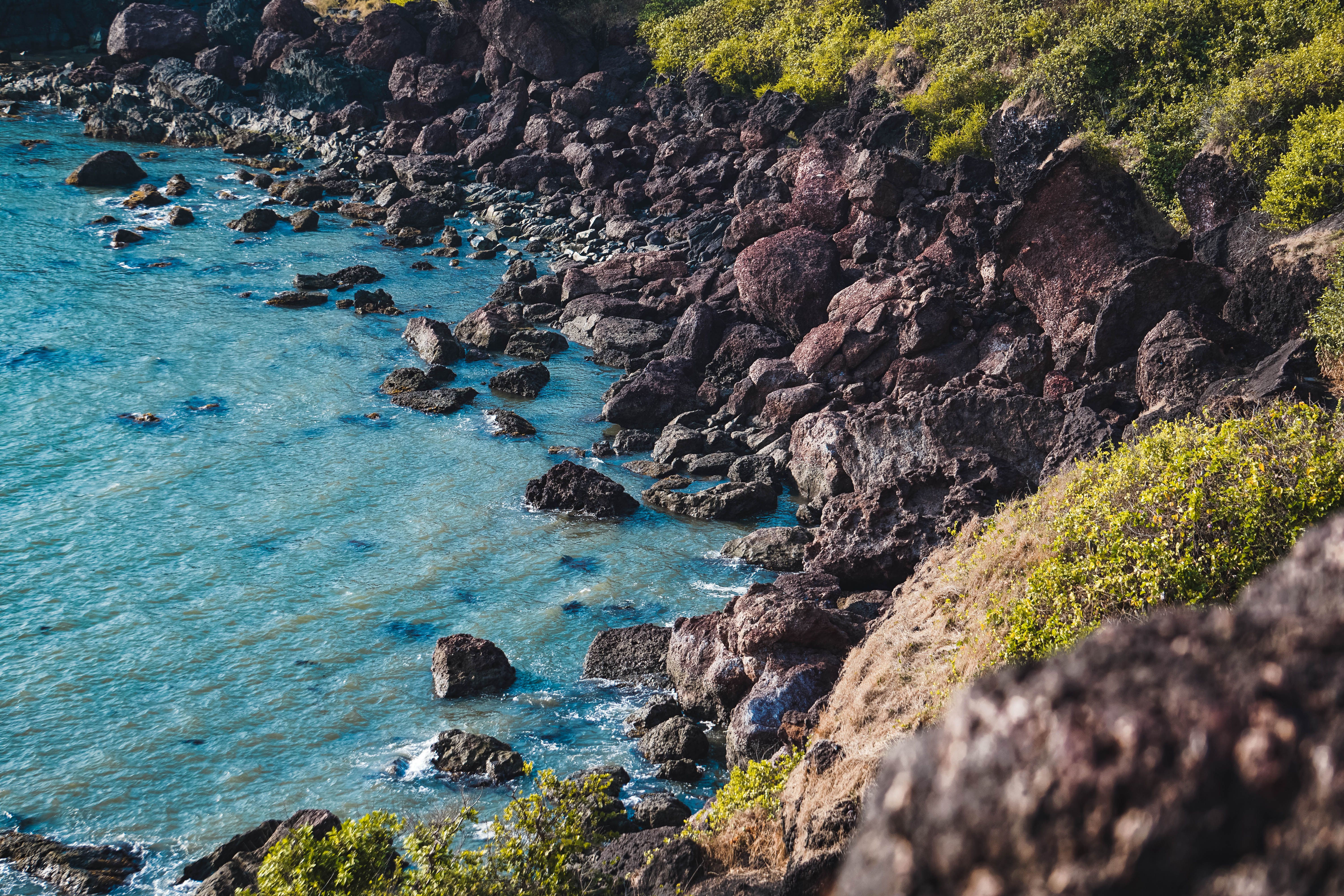 5 Day Holistic Healing by the Ocean Yoga Retreat in Goa 3