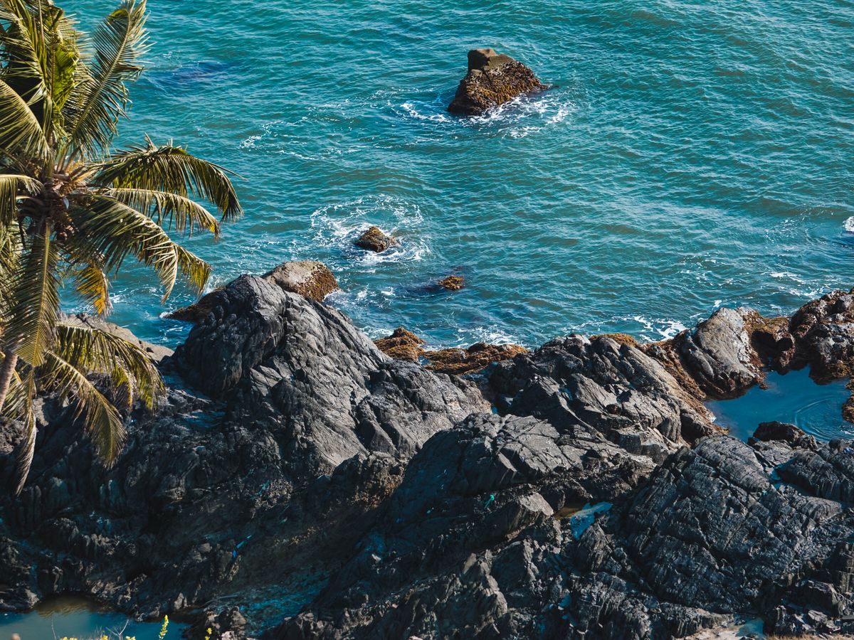 5 Day Holistic Healing by the Ocean Yoga Retreat in Goa 2
