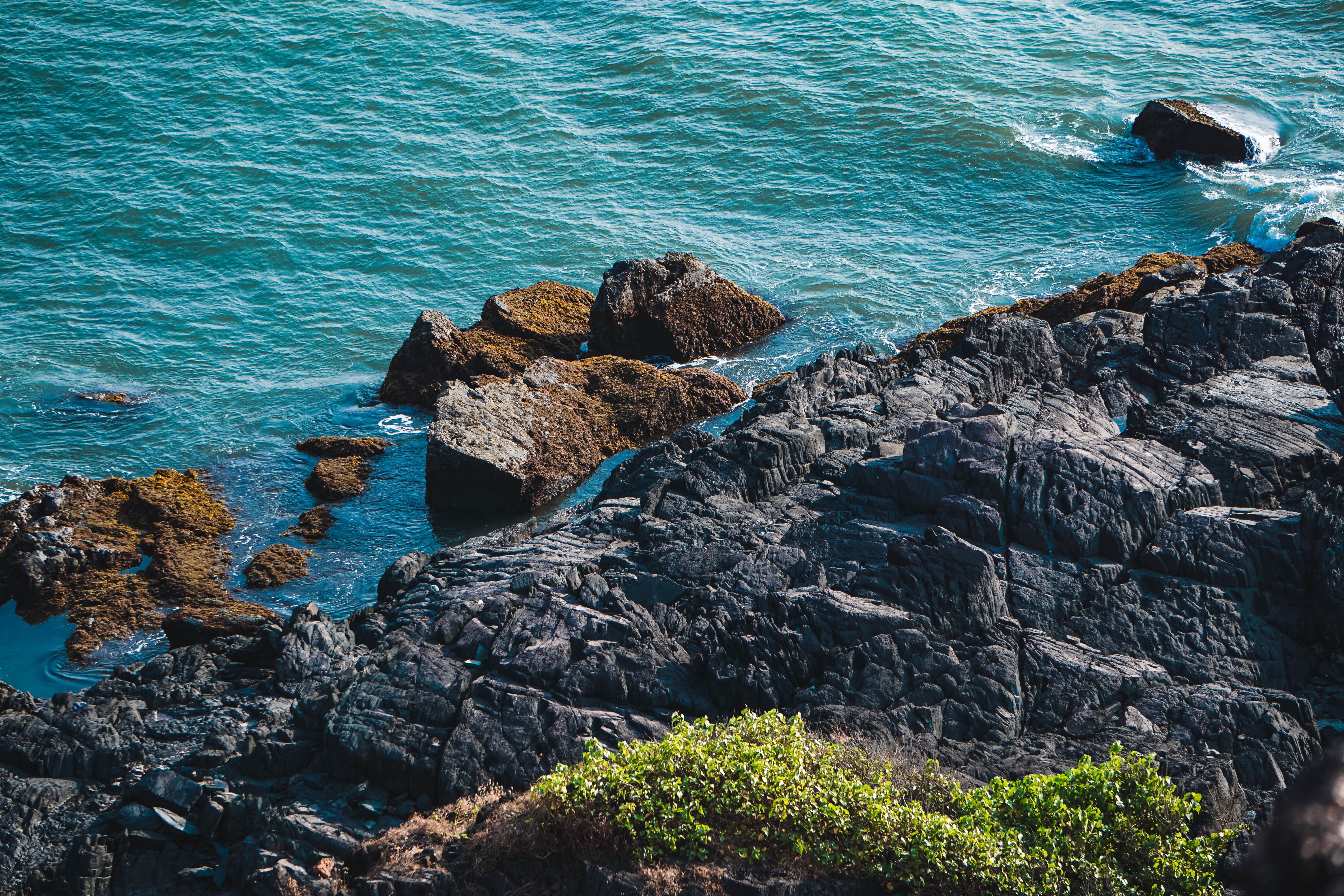 4 Day Beachfront Nervous System Regulation Retreat in Goa 1