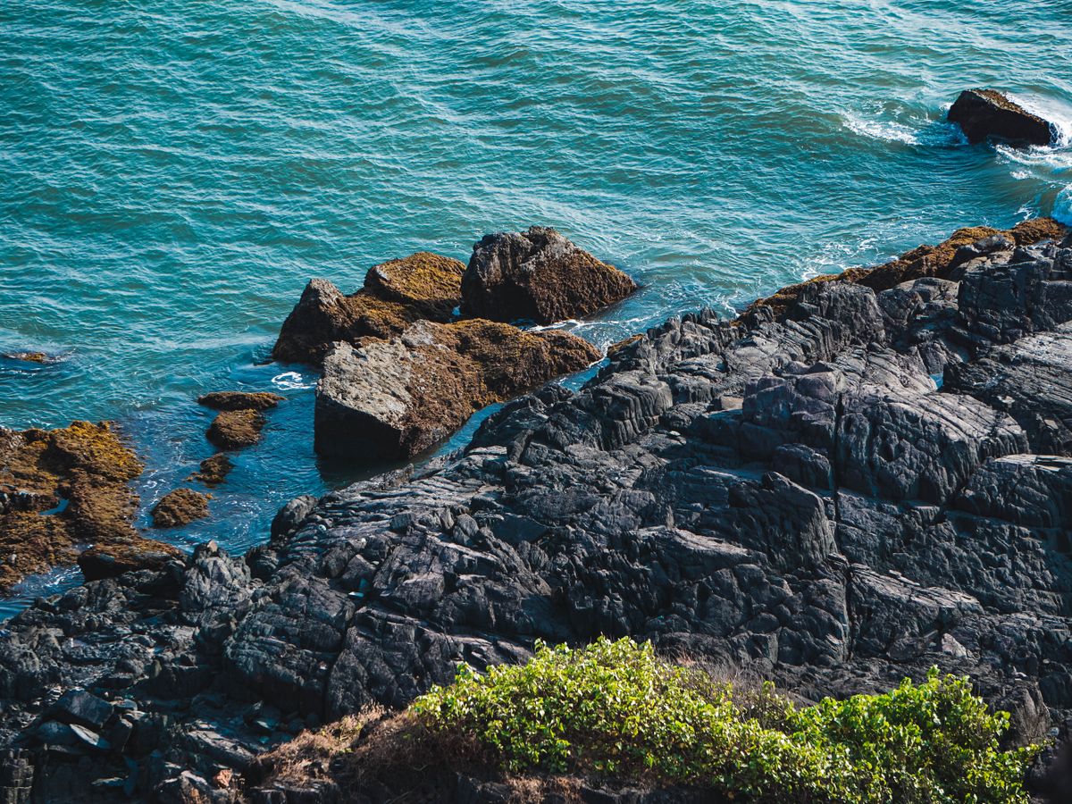 4 Day Beachfront Nervous System Regulation Retreat in Goa 1