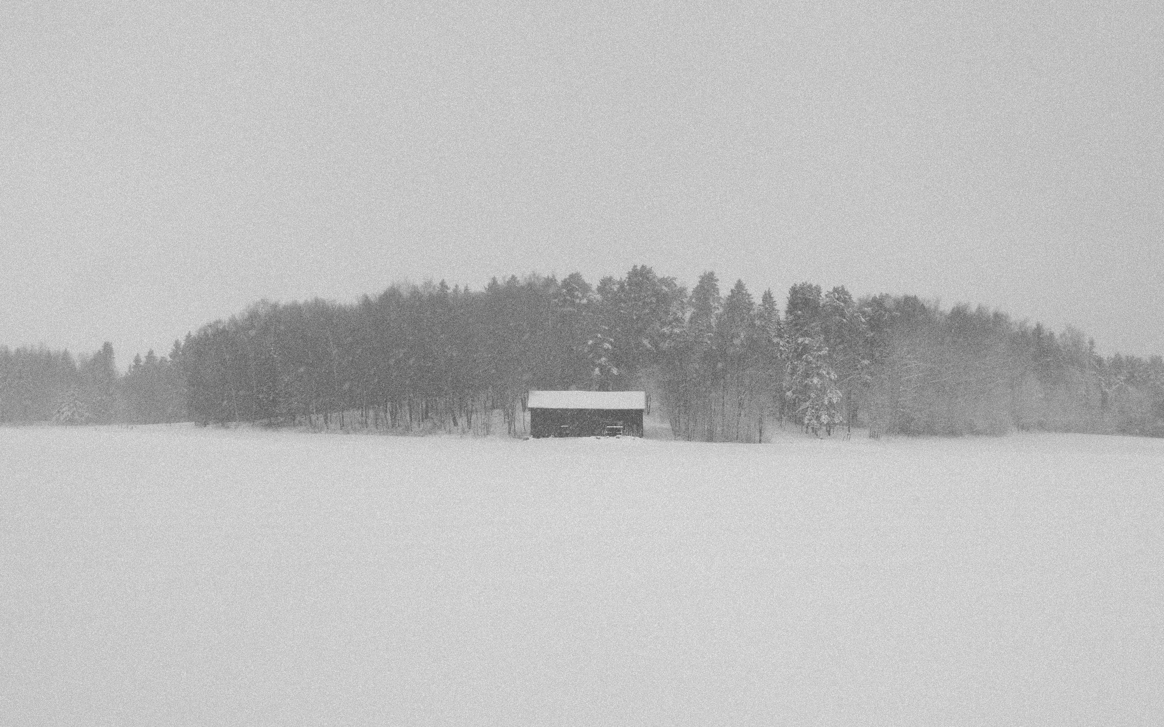 Monochrome winter scene of a snow-covered field with a solitary barn in Helsinki. - Helsinki