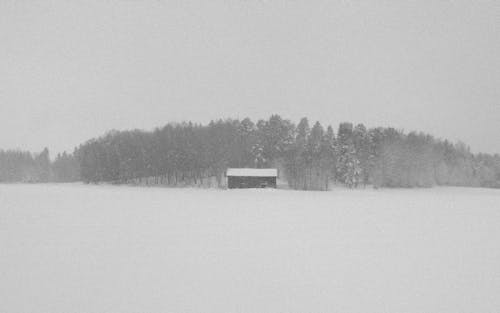 Free Fotos de stock gratuitas de campo, casa, cubierto de nieve Stock Photo
