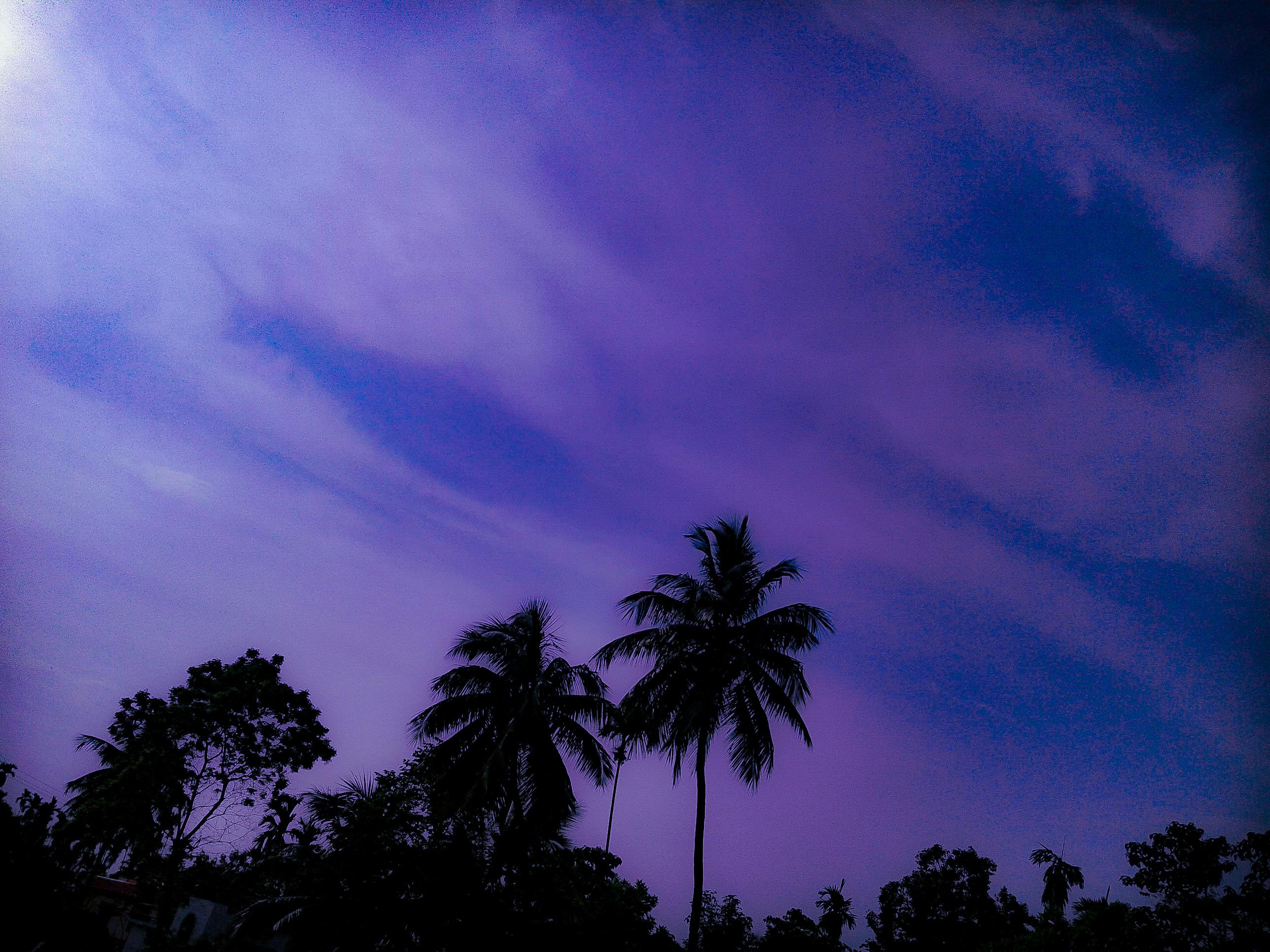 Free stock photo of Dark Sky, nature photography, sky blue