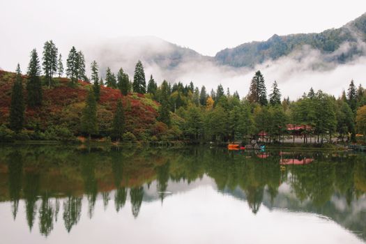 Serene lake view in Artvin, Turkey, with lush trees and misty mountains reflecting in the water.
