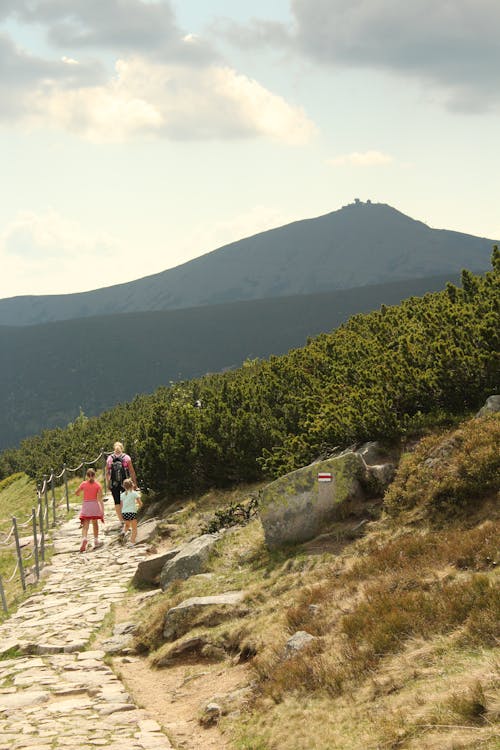 Foto d'estoc gratuïta de a l'aire lliure, aigua, alt