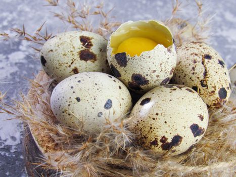 White and Black Egg on Brown Nest