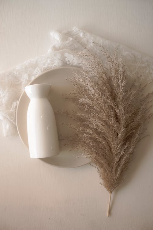 White Ceramic Vase Beside Dried Flowers on White Surface