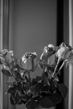 A close-up grayscale image of delicate roses in a vase, offering a classical and timeless look.