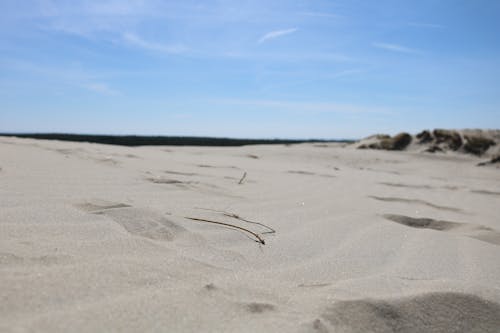 Free stock photo of beach, desert, sand