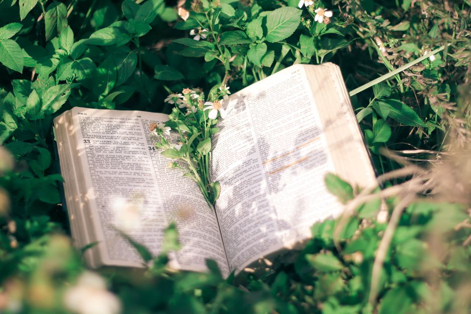 Ecclesiastes 3: A Time for Everything Meaning