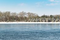 Trees with Snow on Snow Covered Ground Near Body of Water