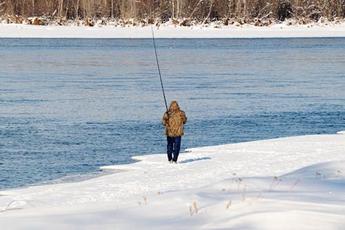 コールド, 人, 冬の無料の写真素材
