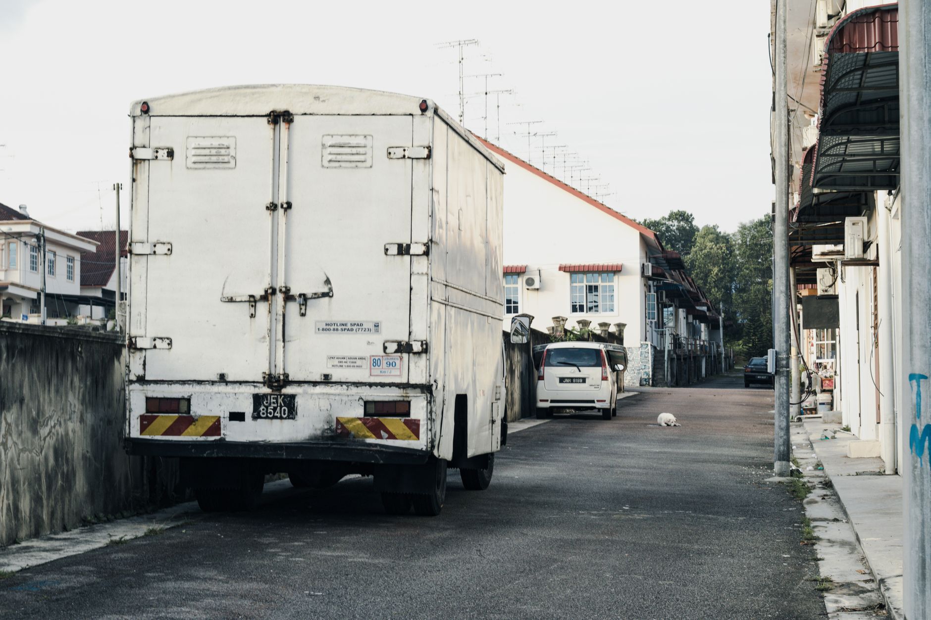 From Sterling to Silver Spring: Navigating the Tri-State Moving Maze