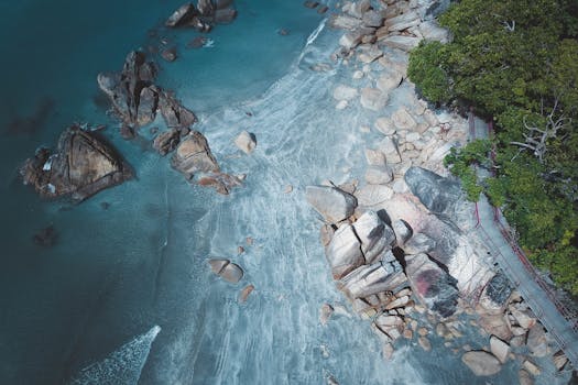 Bird's Eye Photography of Island and Trees