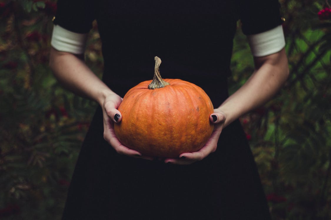 Person Holding Pumpkin