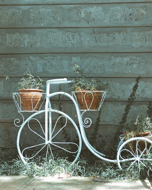 
A Metal Plant Stand Shaped like a Bicycle