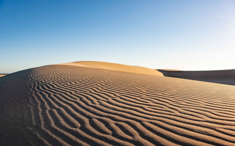 Saraha Desert