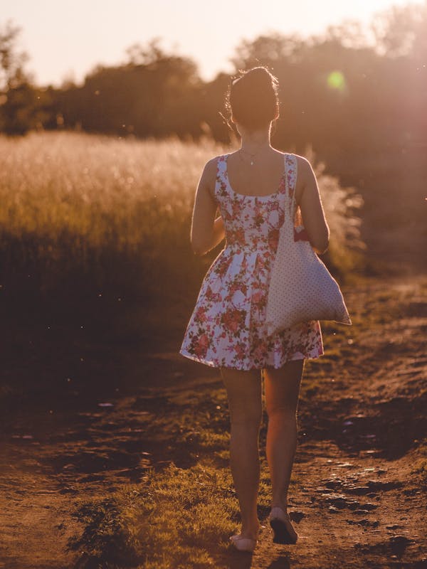 Gingham Picnic Dress