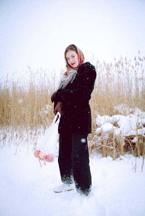 Foto d'estoc gratuïta de bufanda, cobert de neu, congelant