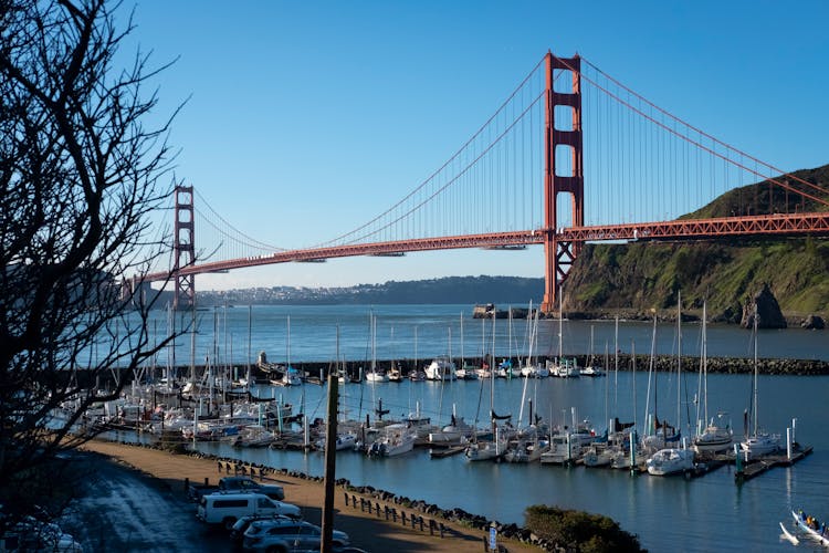 Yachts Moored Near Golden Gate