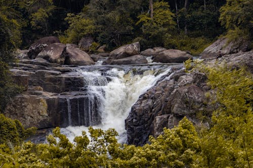 Waterfall in the Middle of Forest