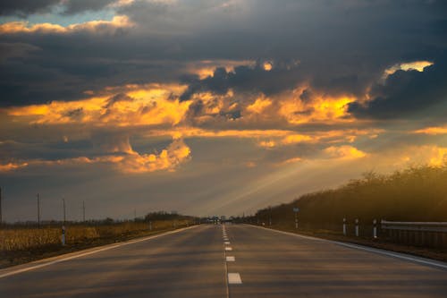 Foto d'estoc gratuïta de arbres, capvespre, carretera de formigó