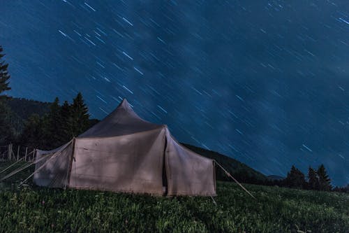 밤 시간 동안 푸른 잔디에 갈색 텐트