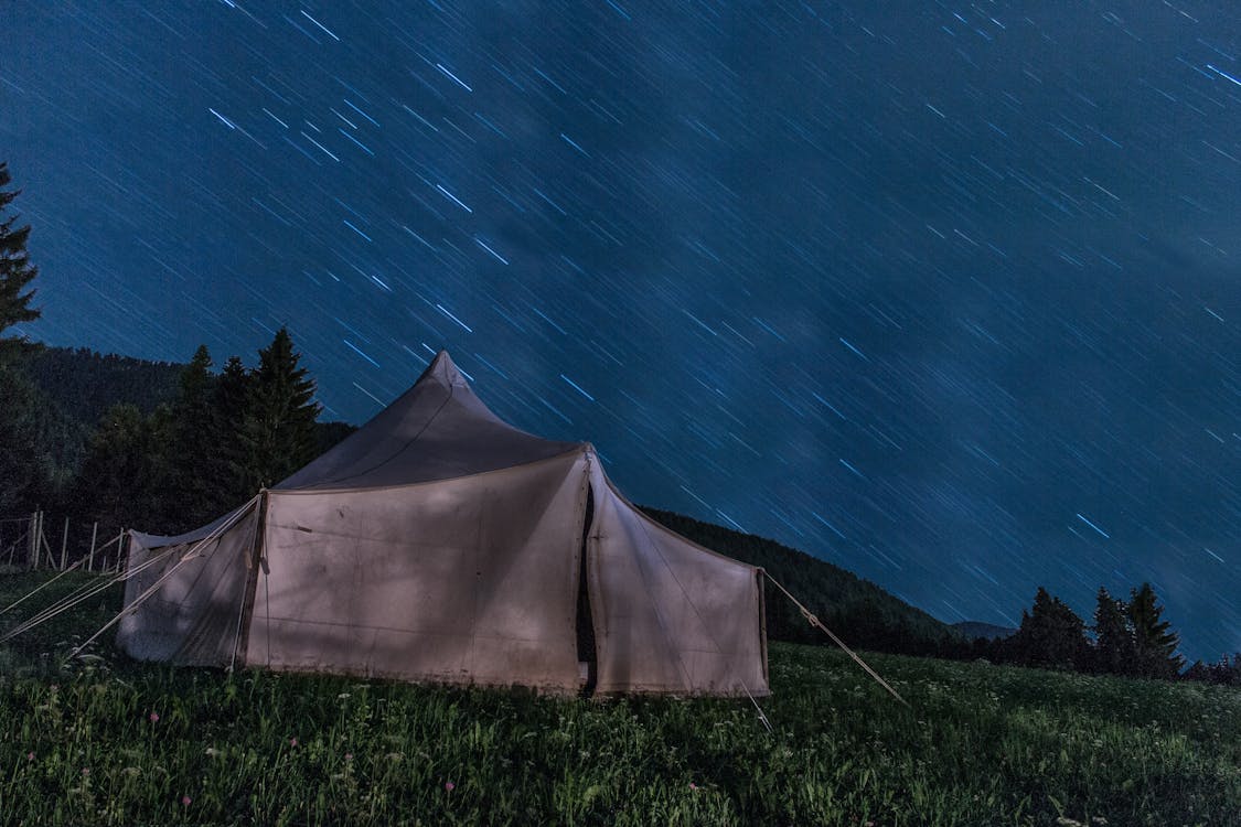 Gratis Tenda Coklat Di Rumput Hijau Pada Malam Hari Foto Stok