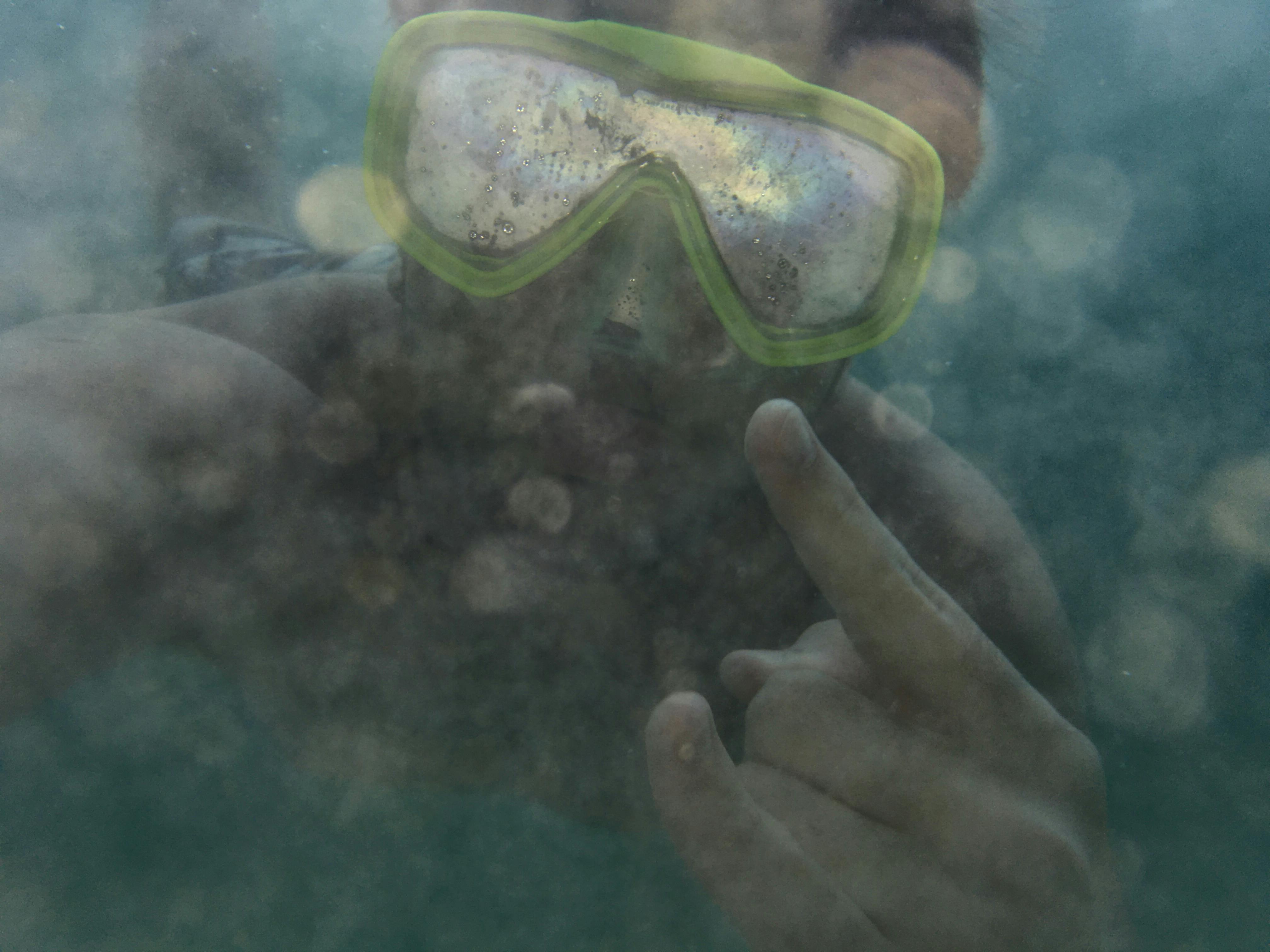 Free stock photo of diving, guy, ocean