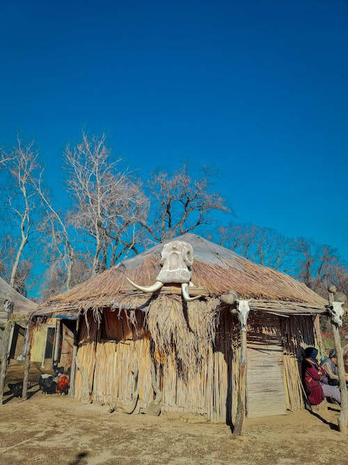 Бесплатное стоковое фото с бивни, вертикальный выстрел, деревни