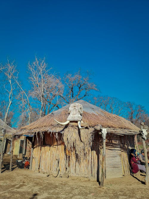 Skull with Dusk on Tribal Hut