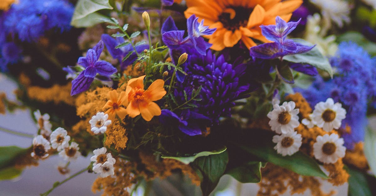 Orange Purple Green and White Flowers Decor