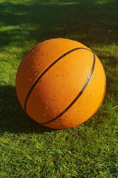 A close-up of a bright orange basketball resting on green grass, perfect for sports themes.