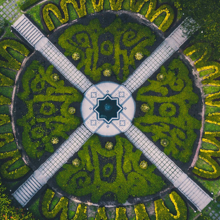 Aerial Photography Of Green Garden