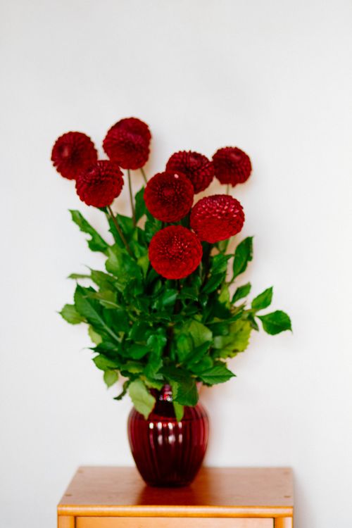 Free Beautiful red flowers in a vase on a side table, perfect for brightening any room. Stock Photo