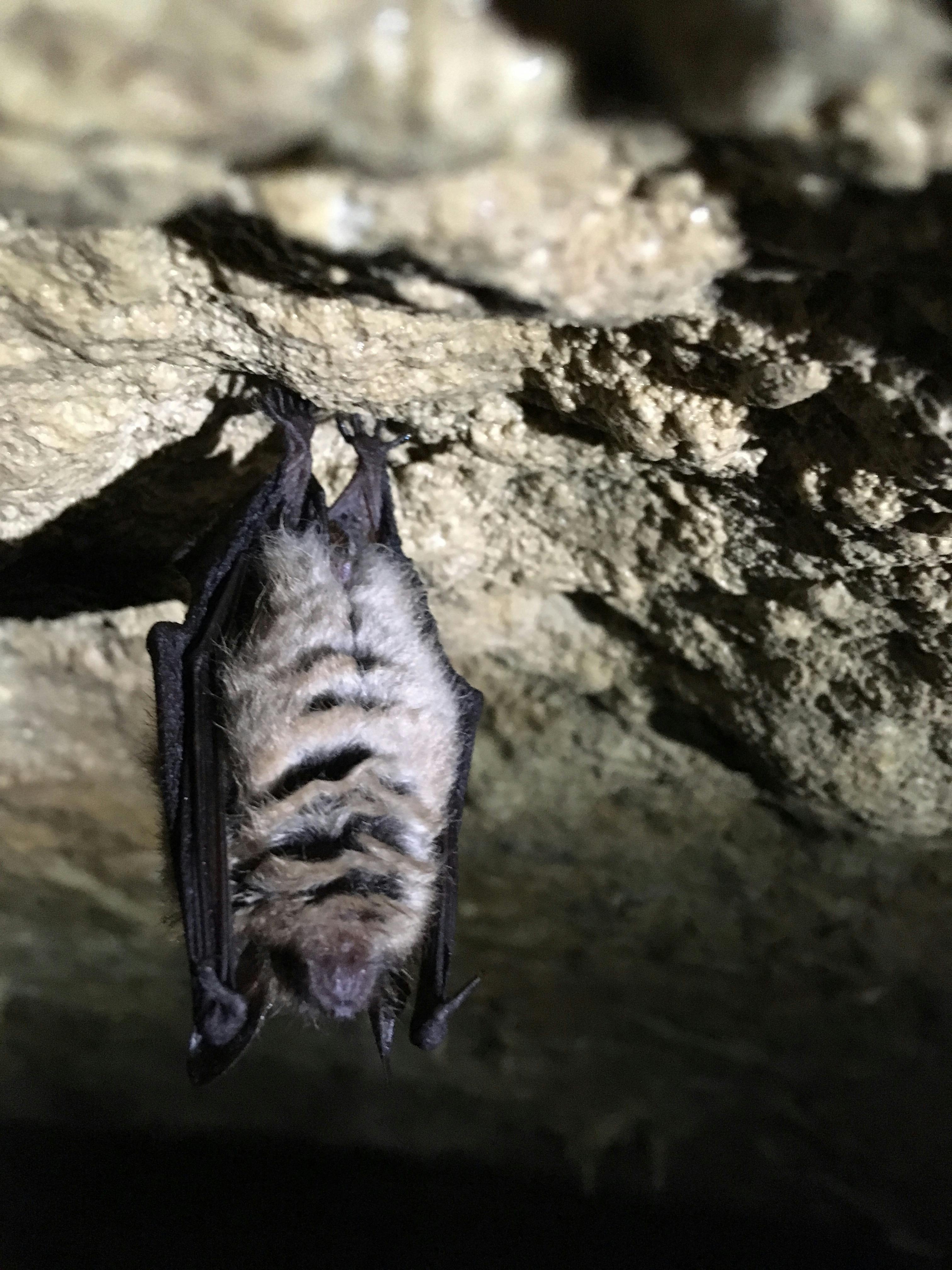 Minivan taxi Sri Lanka group transfer - family vacation