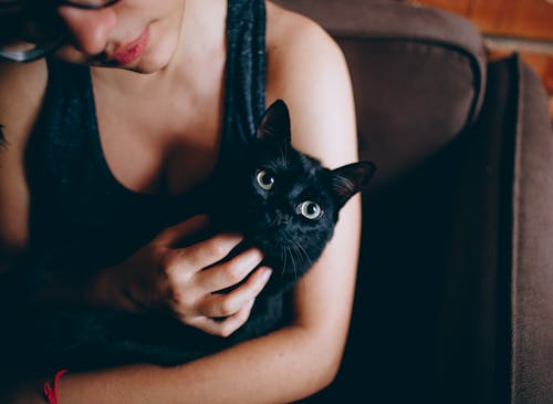 Free Person Carrying Black Cat Stock Photo