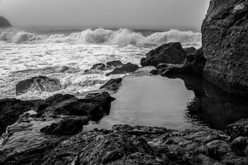 Безкоштовне стокове фото на тему «відтінки сірого, монохромний, море»