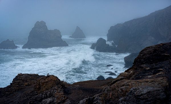 Fog over rocky sea stacks and breaking surf — photo by David McElwee on Pexels