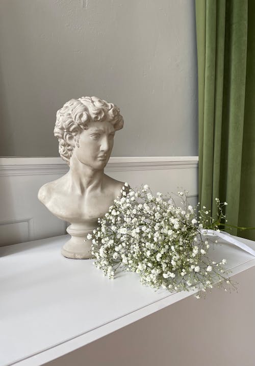 Základová fotografie zdarma na téma bílé květy, bílý povrch, design interiéru